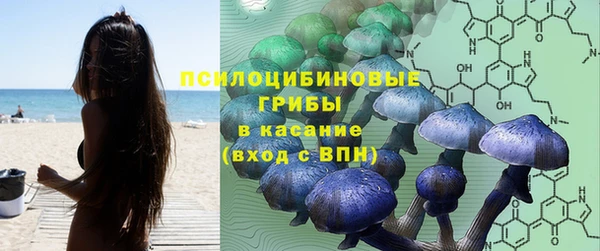 прущая мука Богородск